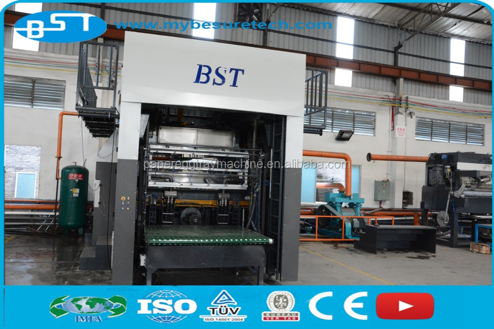 BST Paper Pulp Molding Bagasse Pulp/Wood Pulp/Bamboo Pulp Tableware Production Line