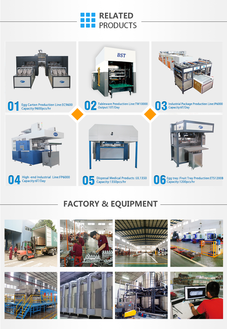 BST ET6000 Automatic Pulp Molding Egg Tray/Coffee Cup Tray/Fruit Tray Making Machine