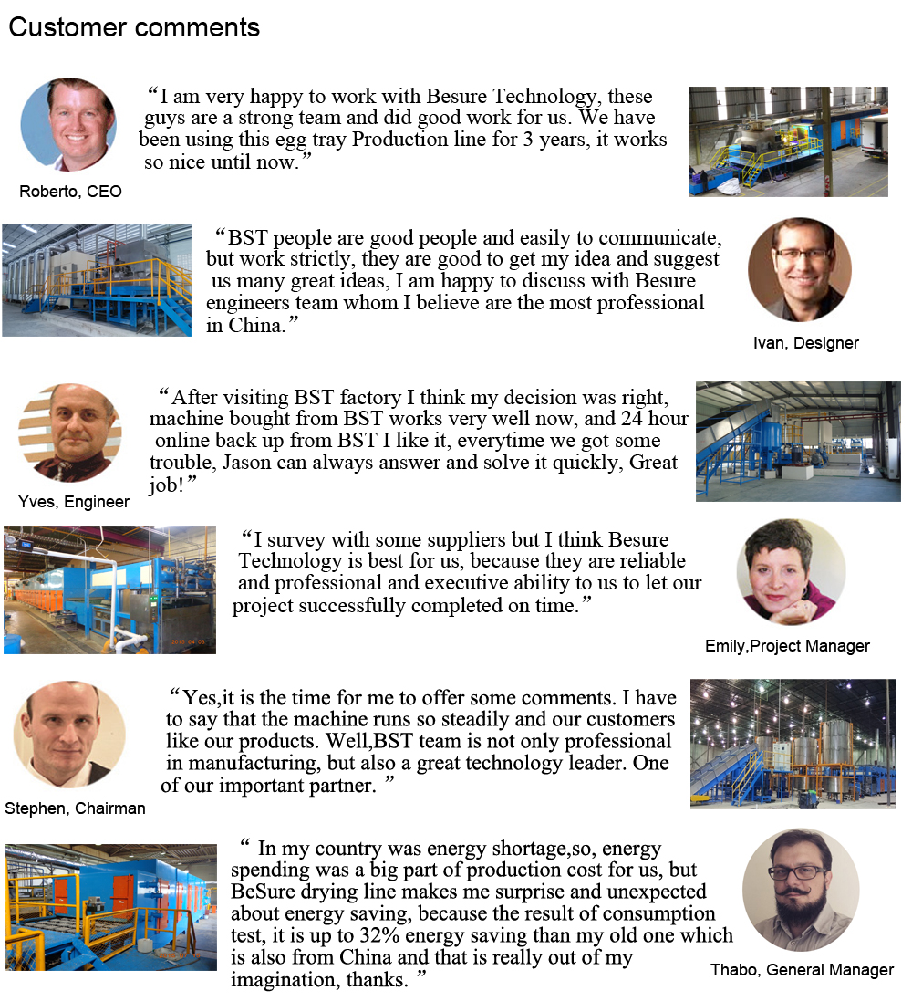 BST TWS3000 Semi-automatic Disposable Bagasse Pulp Molding Plate Production Line