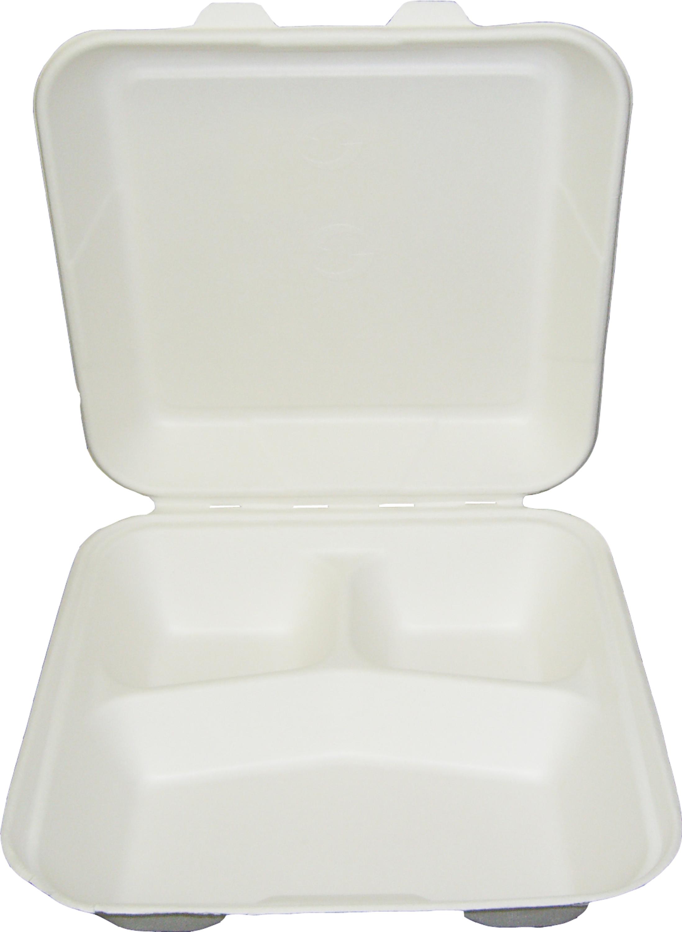 BESURE TW8000 Disposable Bagasse paper plate food container making machine Pulp Tableware Machine