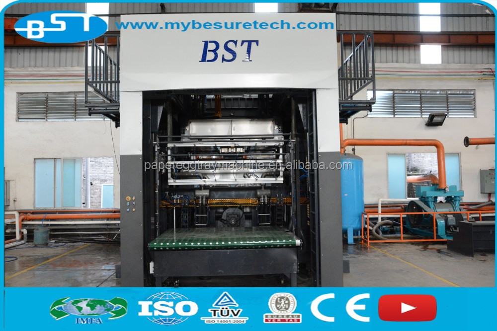 BST Paper Pulp Molding Bagasse Pulp/Wood Pulp/Bamboo Pulp Tableware Production Line