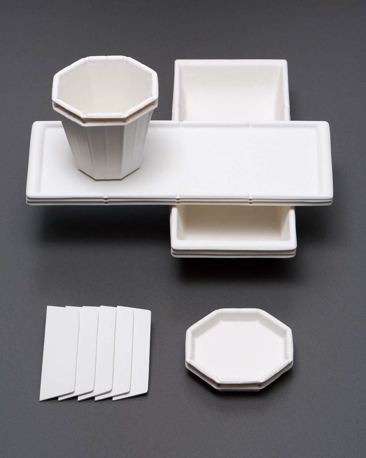BESURE BST TW10000 Fully Automatic Disposable Paper Plate Food Container Tableware Pulp