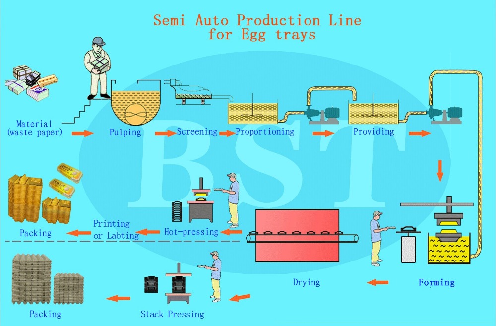 BST ETS1200 Semi-automatic Pulp Molding Egg Tray Production Line Using Waste Paper