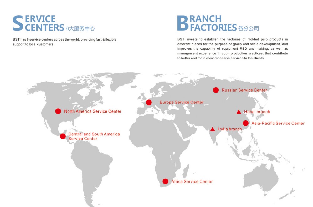 BST TWS3000 Semi-automatic Disposable Bagasse Pulp Molding Plate Production Line