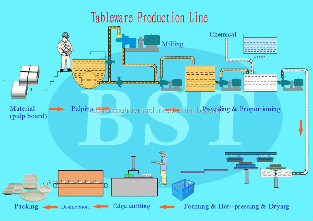 BST Paper Pulp Molding Bagasse Pulp/Wood Pulp/Bamboo Pulp Tableware Production Line