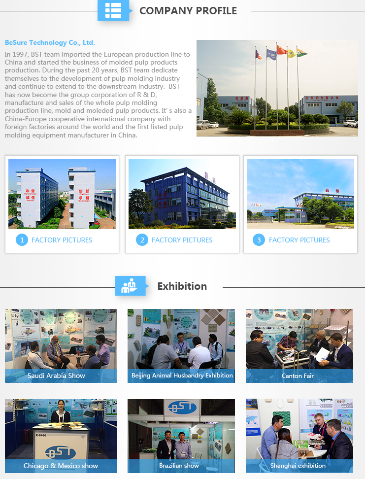 BST TL200 Good Quality Pulp Molding Cup Lid Production Line with CE Certification /Thermoforming Machine