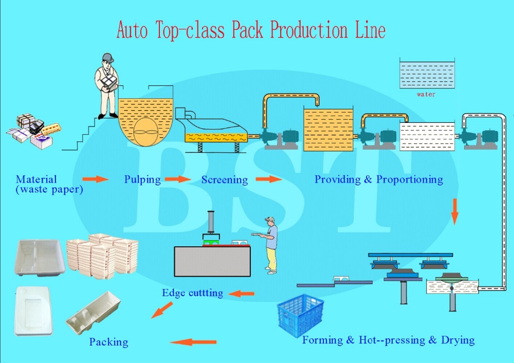 BST TL200 Good Quality Pulp Molding Cup Lid Production Line with CE Certification /Thermoforming Machine