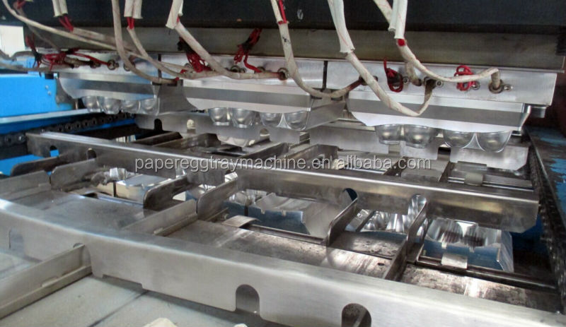 BST EC5400 High Capacity Waste Paper Pulp Egg Carton Production Line