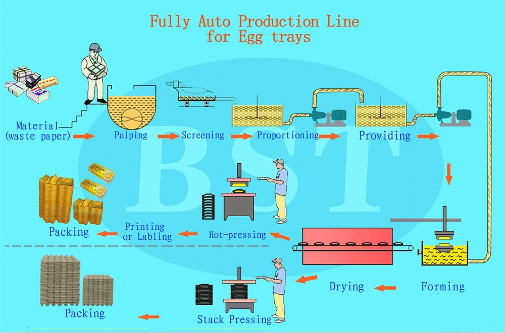 BST ET3600 Waste Corrugated Carton Paper Pulp Egg Tray Production Line