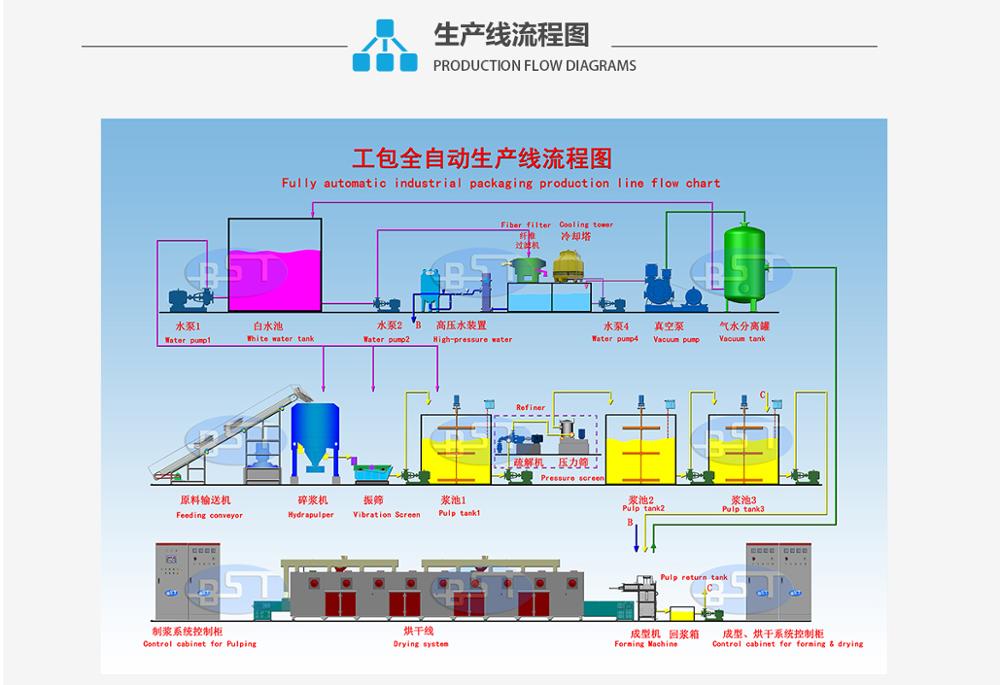BST IP8000 Pulp Molding Low Energy Consumption Industrial Packaging Production Line