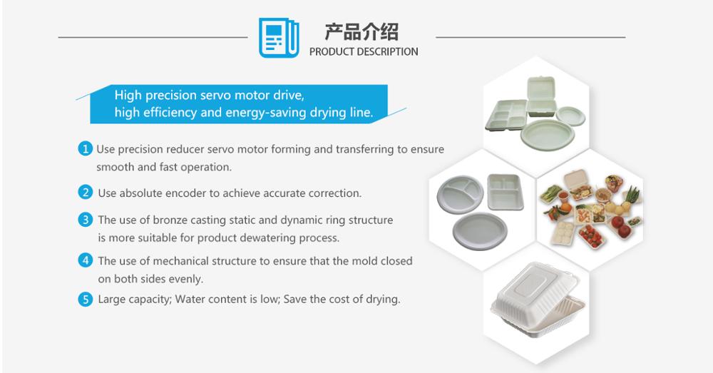 Paper plate machine/Automatic paper plate machine/Paper tableware machine TW8000