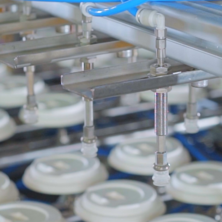 BST TL600 Hot-sale High Quality Pulp Molding Cup Lid/Coffee Cup Production Line