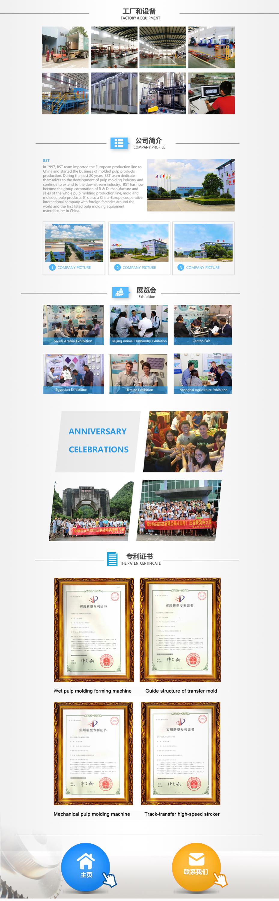 Paper plate machine/Automatic paper plate machine/Paper tableware machine TW8000