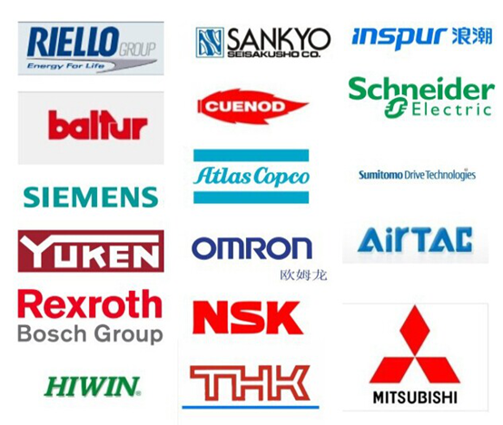 BST IP6000 High-performance & Low Energy Consumption Fully Automatic Pulp Molding Industrial Packaging Production Line