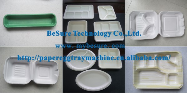 BST TW24000 Fully Automatic Machine for Making Disposable Biodegradable Tableware Production Line