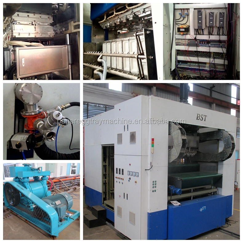 BST Paper Pulp Molding Bagasse Pulp/Wood Pulp/Bamboo Pulp Tableware Production Line