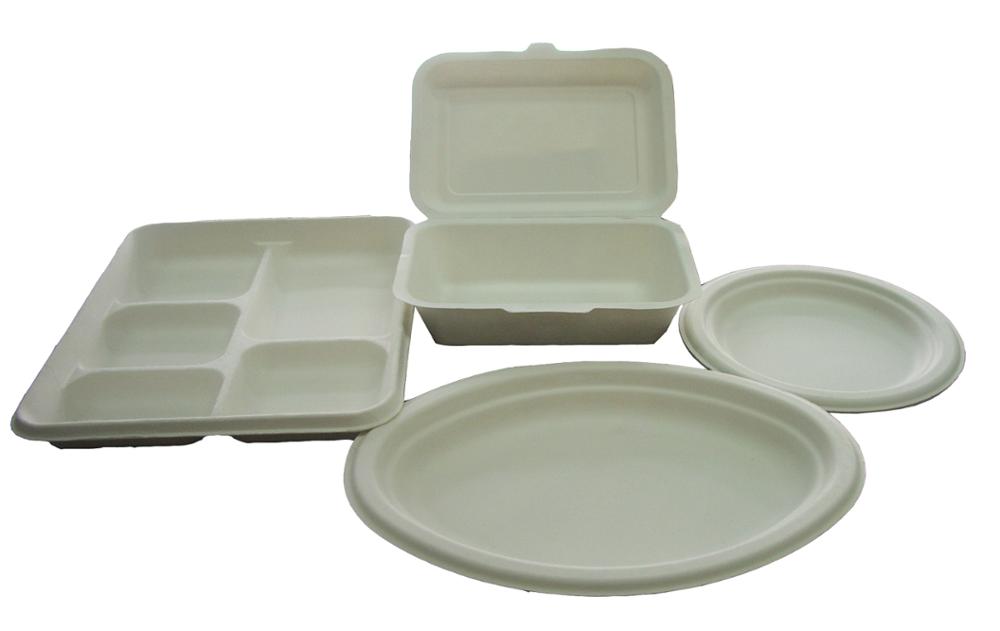 BESURE High capacity Paper Plate/Bowl/Food Container Manufacturing Line Pulp Tableware Machine