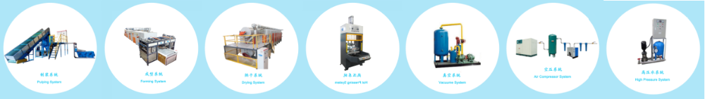 BST IP6000 High-performance & Low Energy Consumption Fully Automatic Pulp Molding Industrial Packaging Production Line