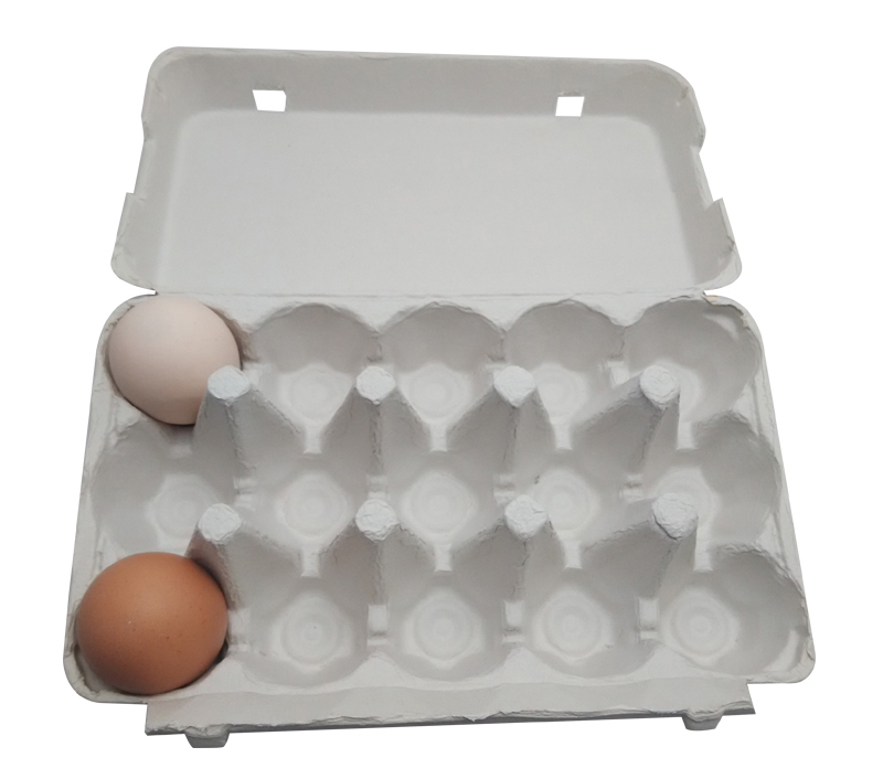 BESURE EC5400 High Capacity Paper Egg Box Machine Egg Carton/Box Machine