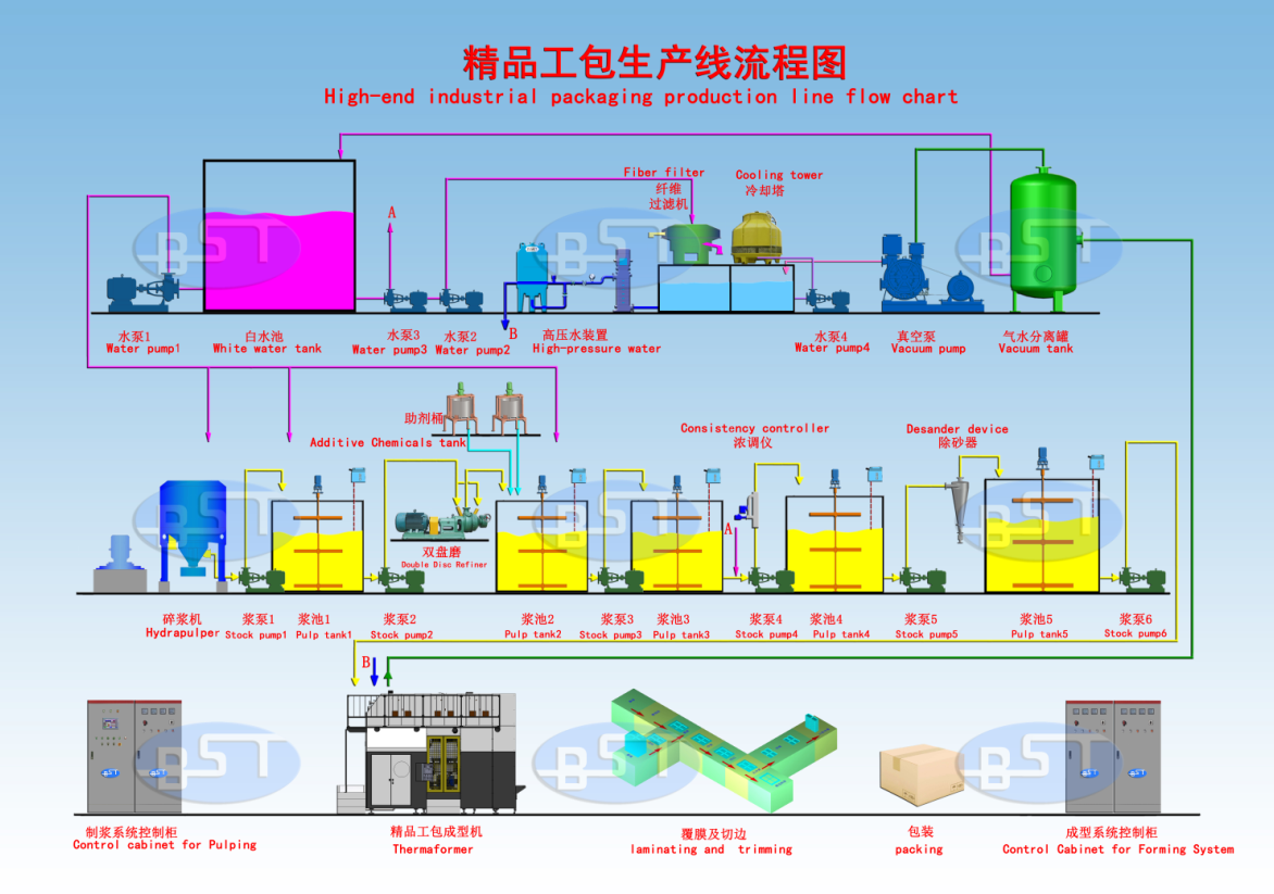BST TL600 Hot-sale High Quality Pulp Molding Cup Lid/Coffee Cup Production Line