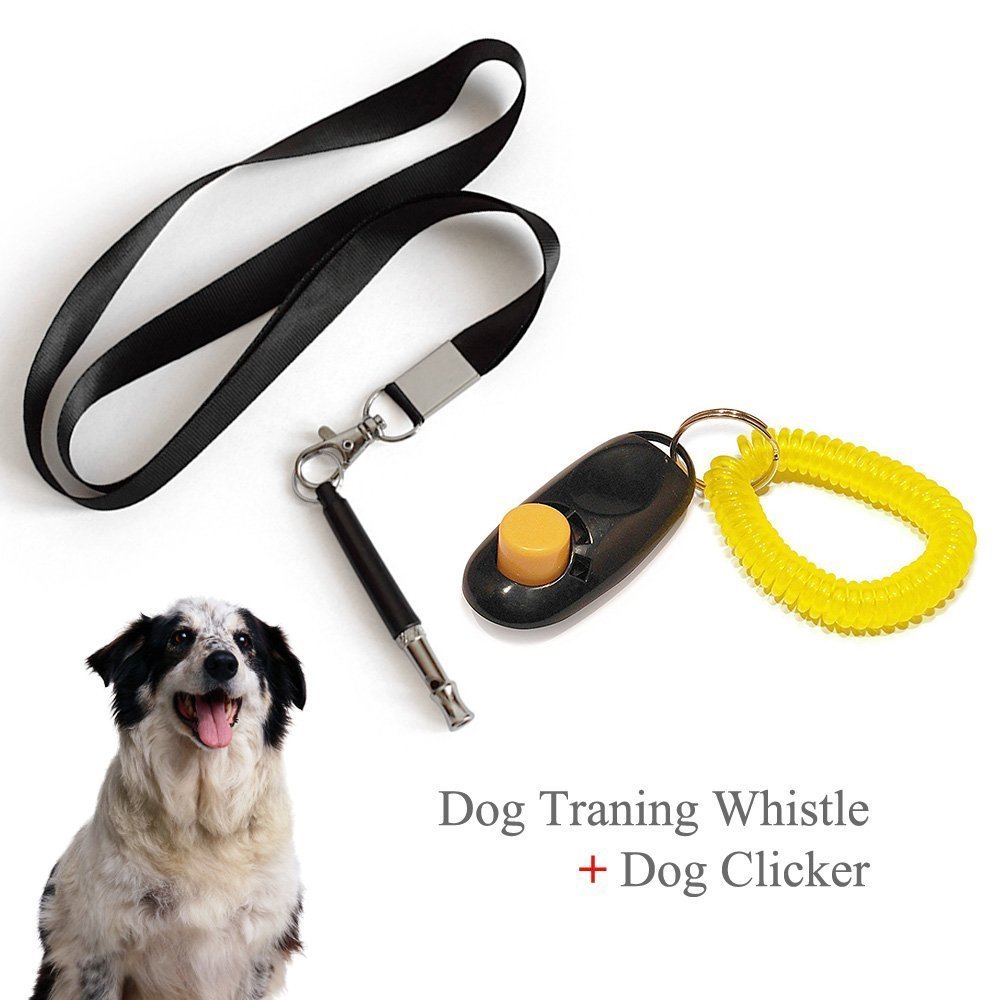 clicker and whistle