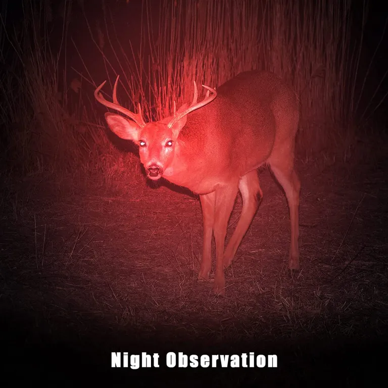 Rotlicht LED Stirnlampe Scheinwerfer für Astronomie Luftfahrt Nachtsicht  Zoom
