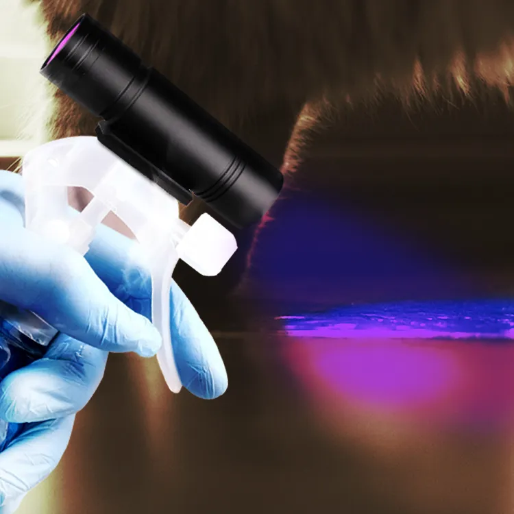Comprar Linterna UV Detector de orina para mascotas Luz negra 100