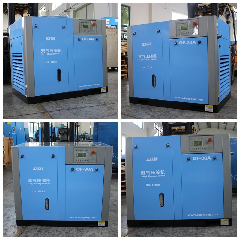 Nuevo Pequeños compresores de aire de pistón móviles Equipo industrial  compresor de aire portátil para la venta en Shanghái, Shanghai, China