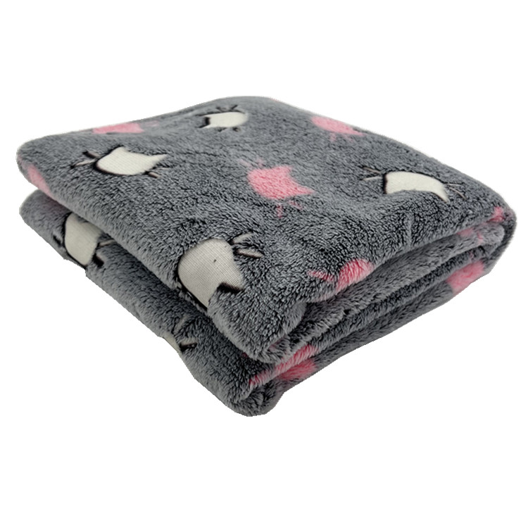 Polyester fluorescent flannel coral fleece cat printed no blur baby blanket glow in the dark luxury blanket throw for kids