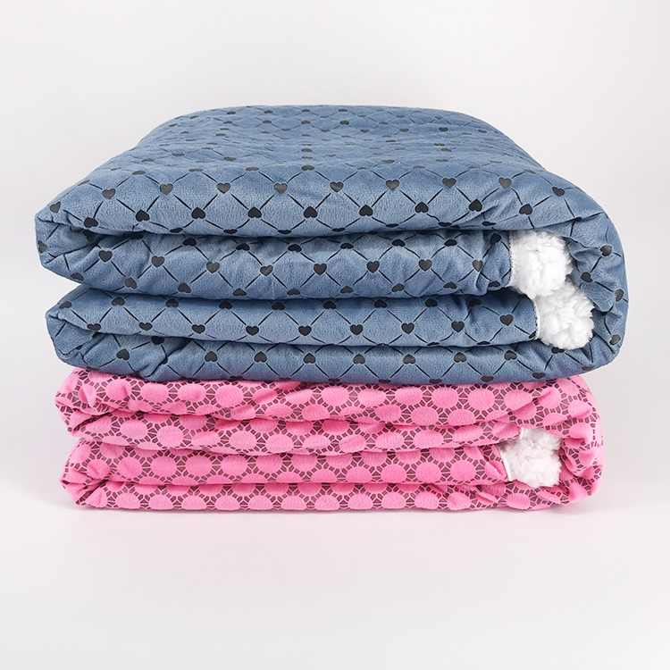 Good quality glue printed polyester double side fleece flannel sherpa blanket children