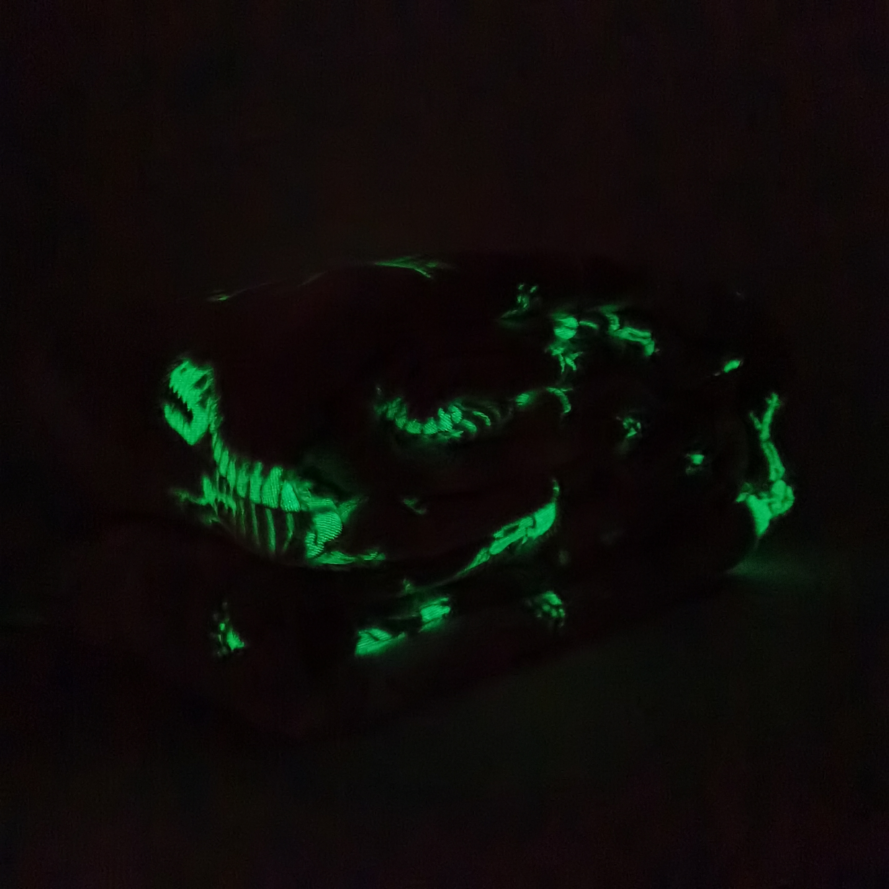 Polyester flannel coral fleece luminous dinosaur design fluorescent baby blanket glow in the dark luxury blanket throw for kids