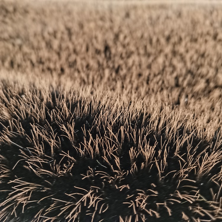 Fur Fabric Luxury Decorative Knitted Fleece Imitated Craft Plush 100% Polyester Jacquard OEKO-TEX STANDARD 100 OEM & ODM Brushed