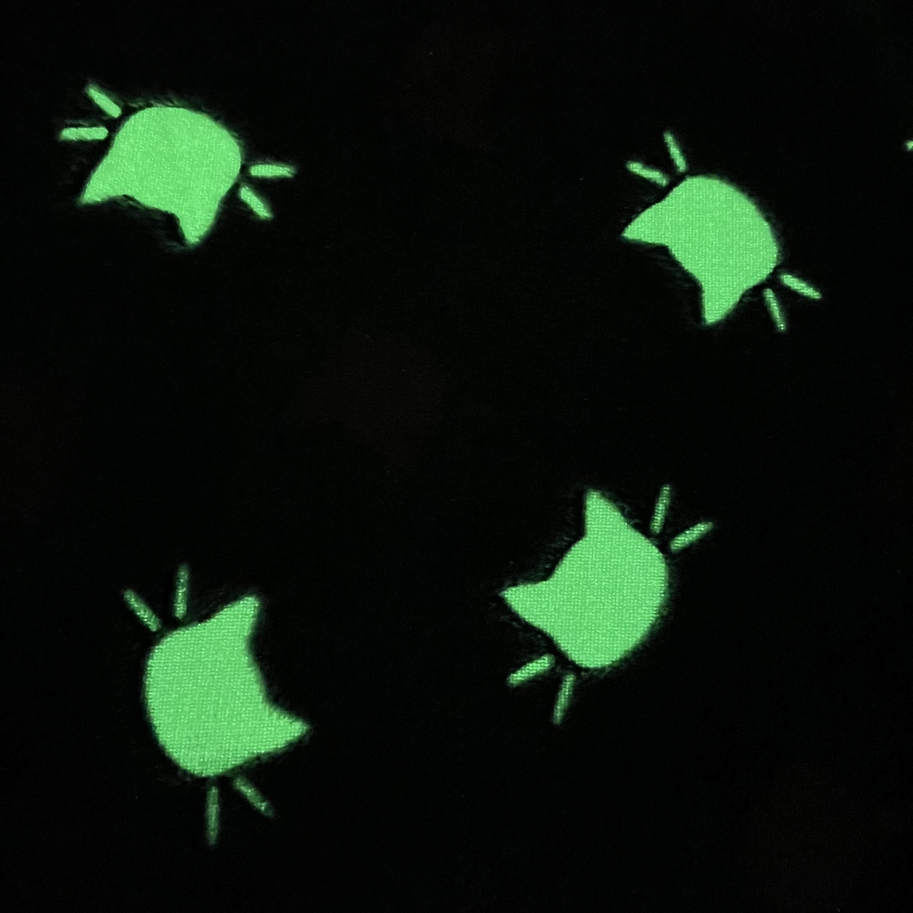 Polyester fluorescent flannel coral fleece cat printed no blur baby blanket glow in the dark luxury blanket throw for kids