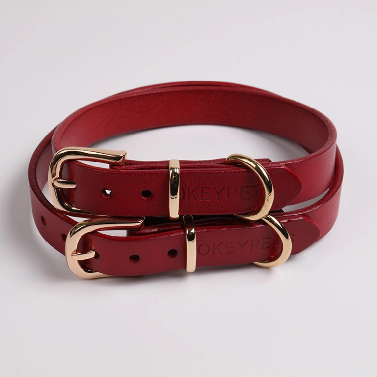 Beautiful Genuine Leather Dog Collars Designer Pet Brand : Petstwo