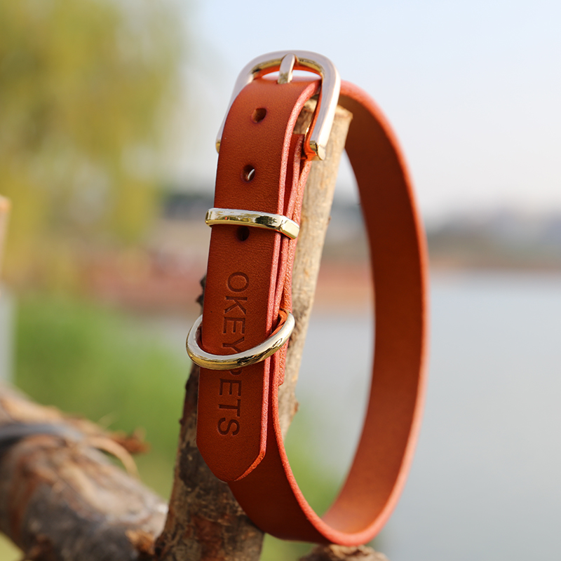 Bulk leather dog clearance collars