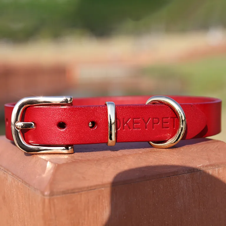 Collare Cane In Pelle Regolabile Con Guinzaglio - Per Cani Piccoli E Medi, Design Con Osso, Taglia L - Foto 10