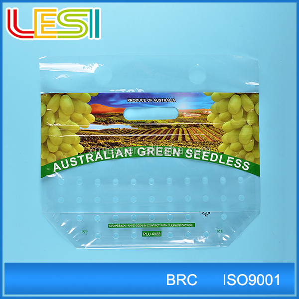 Lesi recycle Custom printed grape packaging plastic PP ziplock bag with hole punch Laminated bag