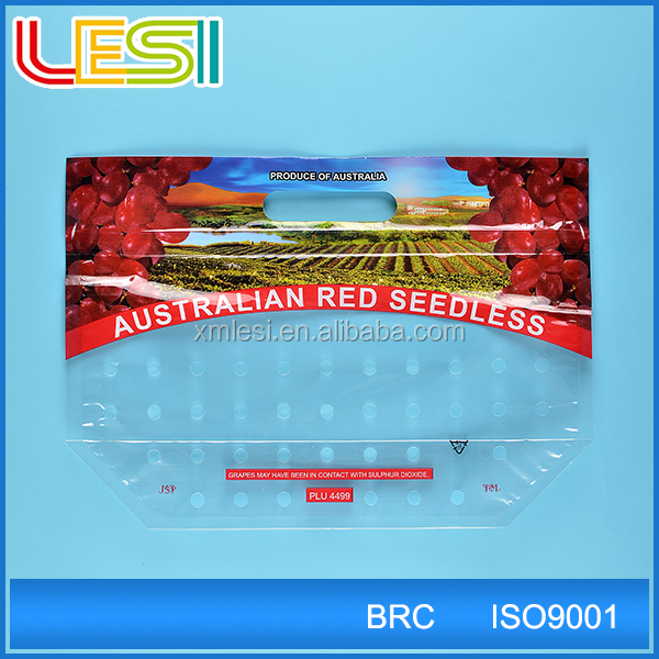 Lesi recycle Custom printed grape packaging plastic PP ziplock bag with hole punch Laminated bag
