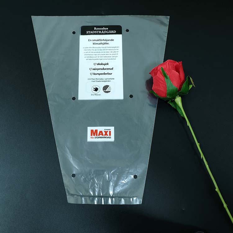 Lesi Plastic package bag for lettuce herbs hot products food grade