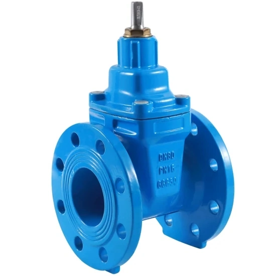 Water Supply Grade Project-Specific Resilient Seated Gate Valve