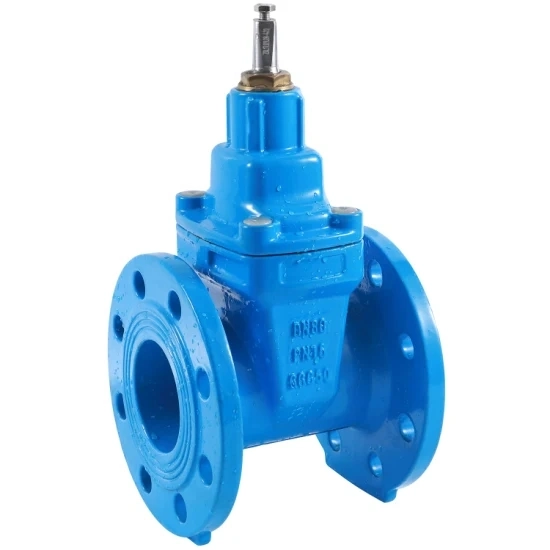 Water Supply Grade Project-Specific Resilient Seated Gate Valve