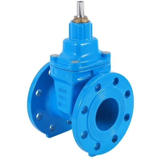 Water Supply Grade Project-Specific Resilient Seated Gate Valve