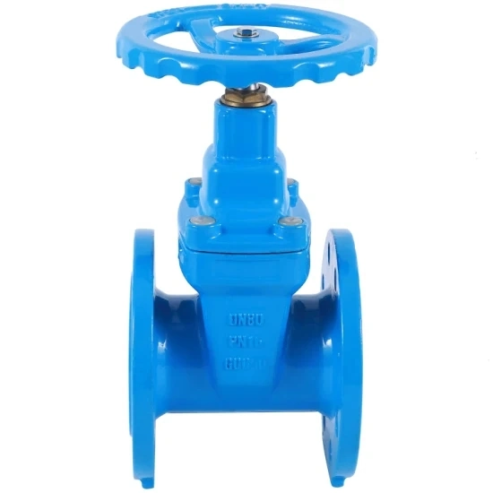 Water Supply Grade Project-Specific Resilient Seated Gate Valve