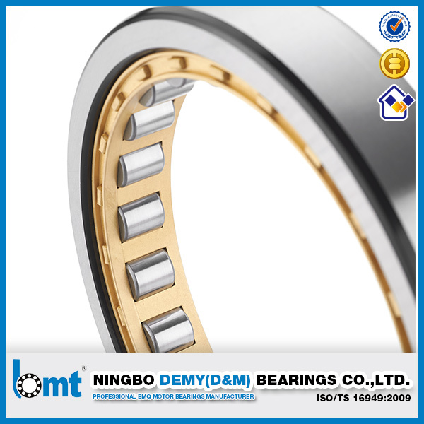 high precision full complement roller bearing SL18 2240