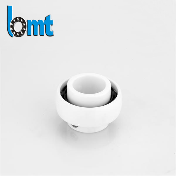 High quality SiC 6000 Ceramic bearing of chinese manufactory