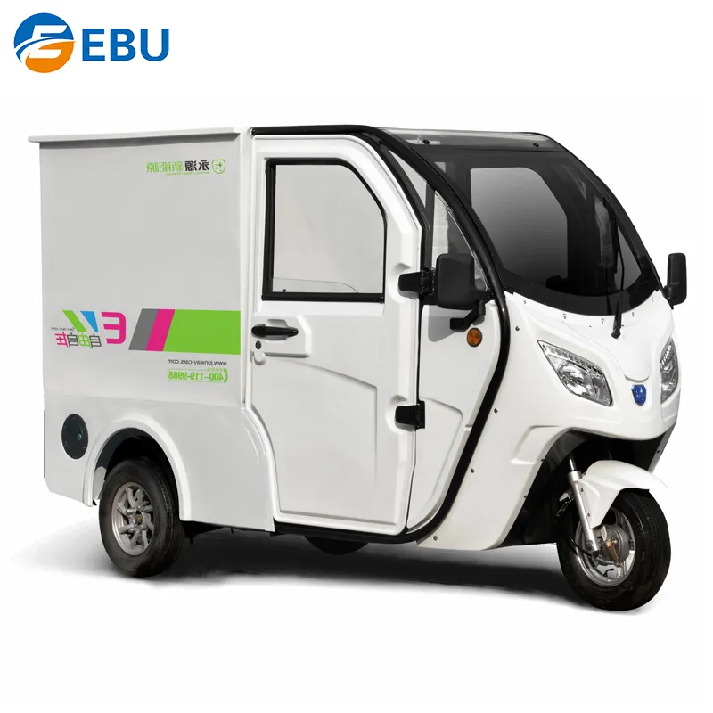EBU - Triciclos motorizados de carga Triciclo eléctrico de 3 ruedas para  adultos Triciclo eléctrico para adultos