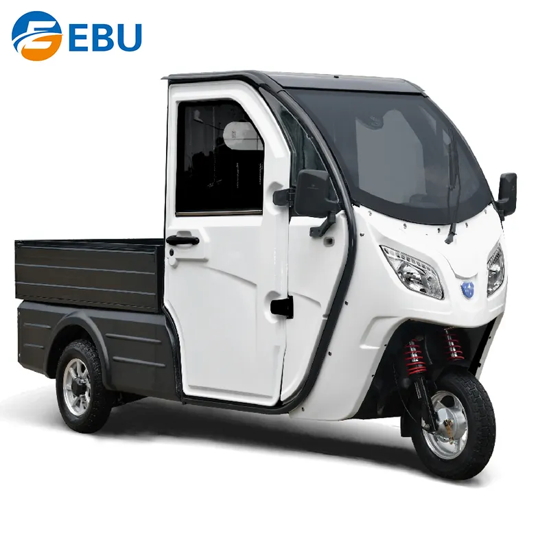 EBU - Coche eléctrico de 3 ruedas para adultos Auto Electrico Vehículo  eléctrico Mini triciclo eléctrico