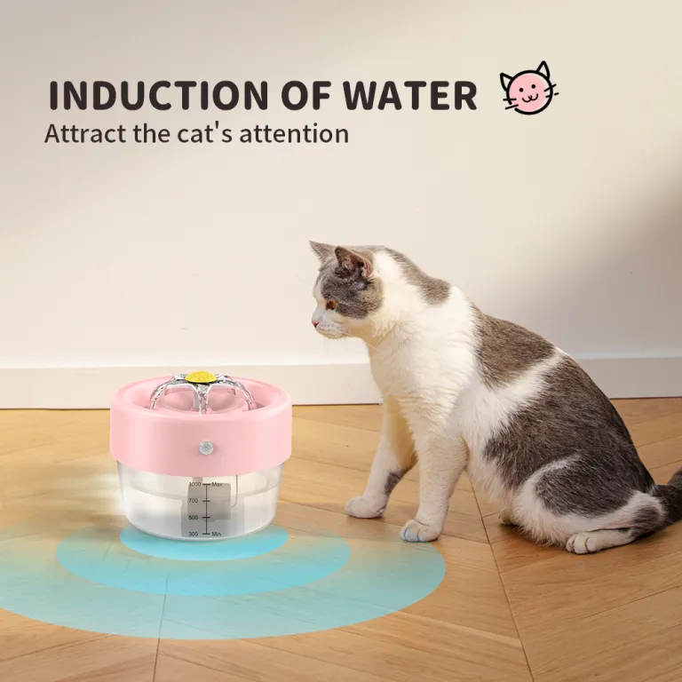 Miltillovchi mushuk video