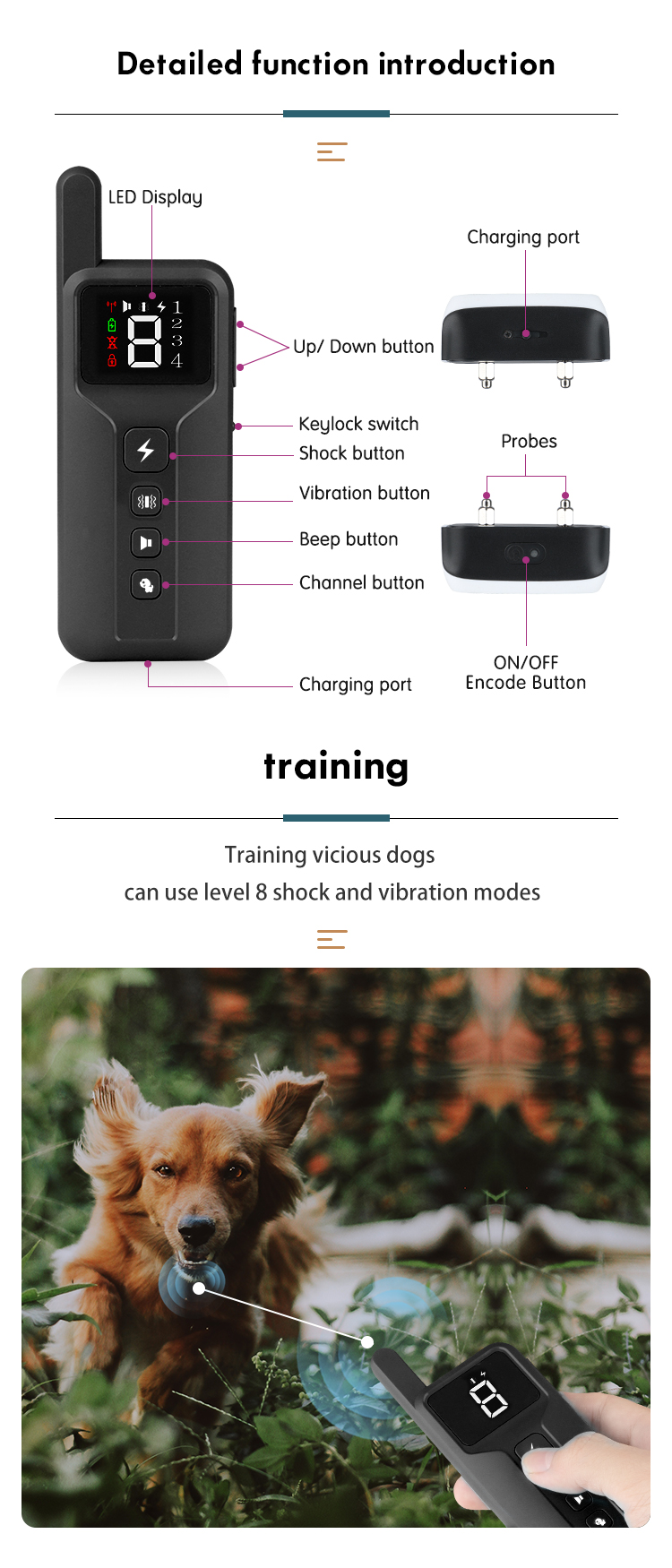 Ffe Tize TIZE -Remote dog Training Concursores Collarem USB Rechargeable ...