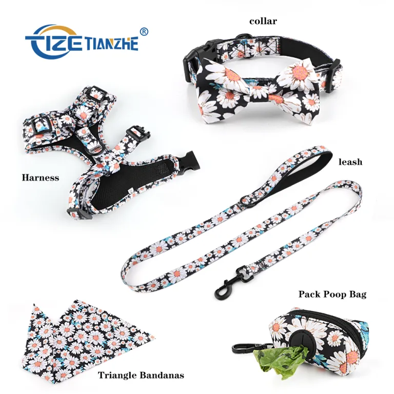 Жеке шұлықтардағы жалаңаш ит стилі